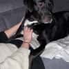 Mokka sucht ein neues Zuhause