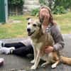 Menschenbezogene Rua sucht Zuhause