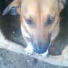 Lucky