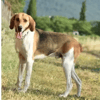 ATHOS