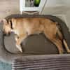 Hermine ist etwas Besonderes