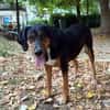 Elegante und ruhige Grace