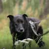 Hope - der Name ist Programm