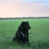 Hope - der Name ist Programm