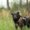Hope - der Name ist Programm
