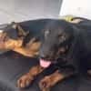 💕Wilma💕 sucht ihre Menschen