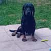 💕Wilma💕 sucht ihre Menschen