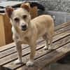 Kleine Liebe Tissa sucht ihre Familie