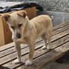 Kleine Liebe Tissa sucht ihre Familie
