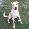 BUDY, le magnifique !