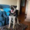 Tango