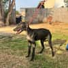 ONIX  (Martina)