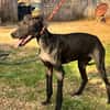 ONIX  (Martina)