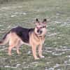 Lena sucht ihre Familie