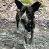 HANNES - Notfall bei Fulda!