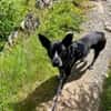 HANNES - Notfall bei Fulda!