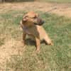 Zina sucht eine Familie