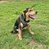 Topcho ein tolles Kerlchen