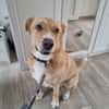 Diego aus 45659 Recklinghausen