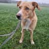 Diego aus 45659 Recklinghausen