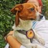 Hurin - Traumhund sucht Traumzuhause