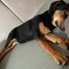 Zuckersüße 🐾💕Sky🐾💕 sucht ihr Zuhause