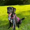 💕Finja💕 sucht ihre Menschen 🐾💕🐾