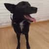 Onyx