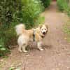 ALVIN sucht Zuhause
