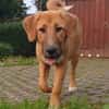 HSH-Mix-Lady♥Suvi♥63911 Klingenberg/Main