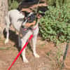 LUPE (Martina)