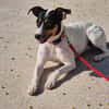 LUPE (Martina)