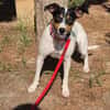 LUPE (Martina)