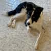 MAX (Martina)