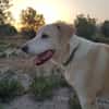 ROCO (Martina)