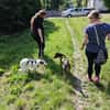 Maia; sucht Ruhe und Sicherheit