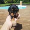 AUREA, baby girl de Gwada