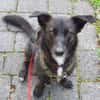 AMY DARF NICHT DURCHS RASTER FALLEN