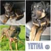 YETINA -möchte ankommen-