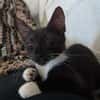 HUGGY-WUGGY
