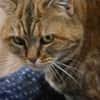 Minette