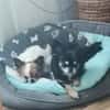 🌸Luna 7 J und Bella 9 Jahre🌸Gemeinsa