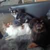 🌸Luna 7 J und Bella 9 Jahre🌸Gemeinsa