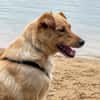 Zack sucht eigene liebe Familie