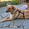Zack sucht eigene liebe Familie