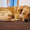 Zack sucht eigene liebe Familie