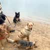 Zack sucht eigene liebe Familie