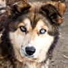Lexy sucht liebevollen Anschluss