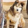 Lexy sucht liebevollen Anschluss