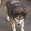 Lexy sucht liebevollen Anschluss